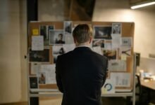 business expansion and insights